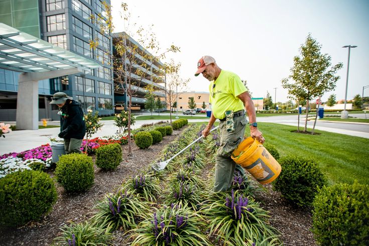oriente conception landscaping