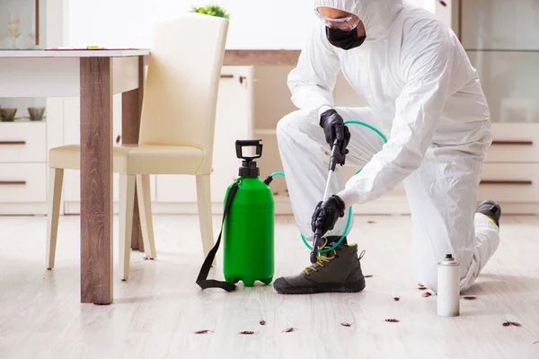 termite pest control control complete solution for termite
