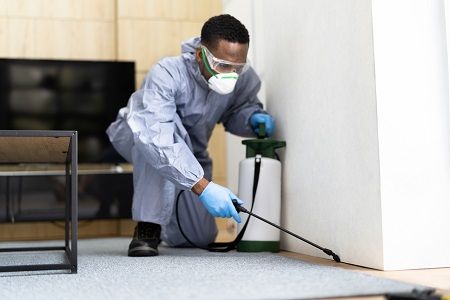 the best pest control for commercial spaces in vancouver!
