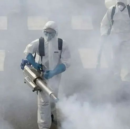 we offer specialized fogging treatment and garden treatment to effectively manage
