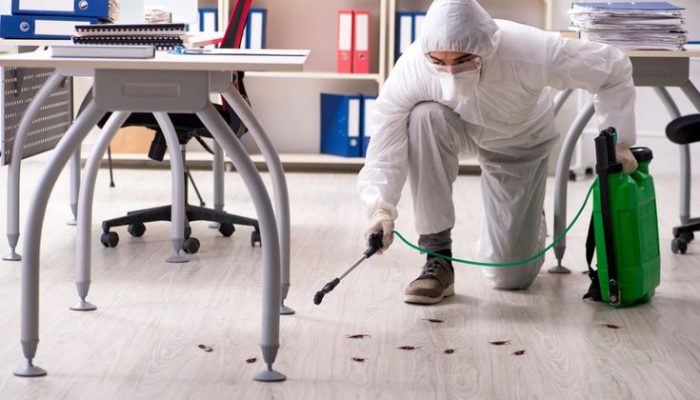 the unseen impacts pests at home and the essential role of pest control services (1)